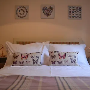check availability